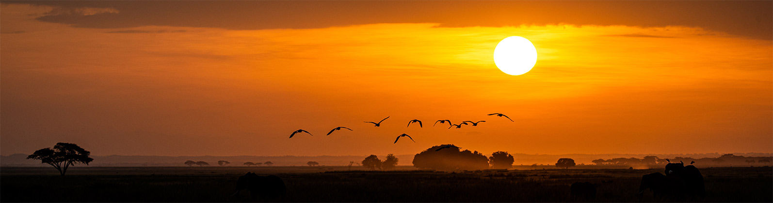 Urlaub kurzfristig buchen Afrika Urlaub