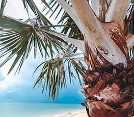 Übernachtung Sambia